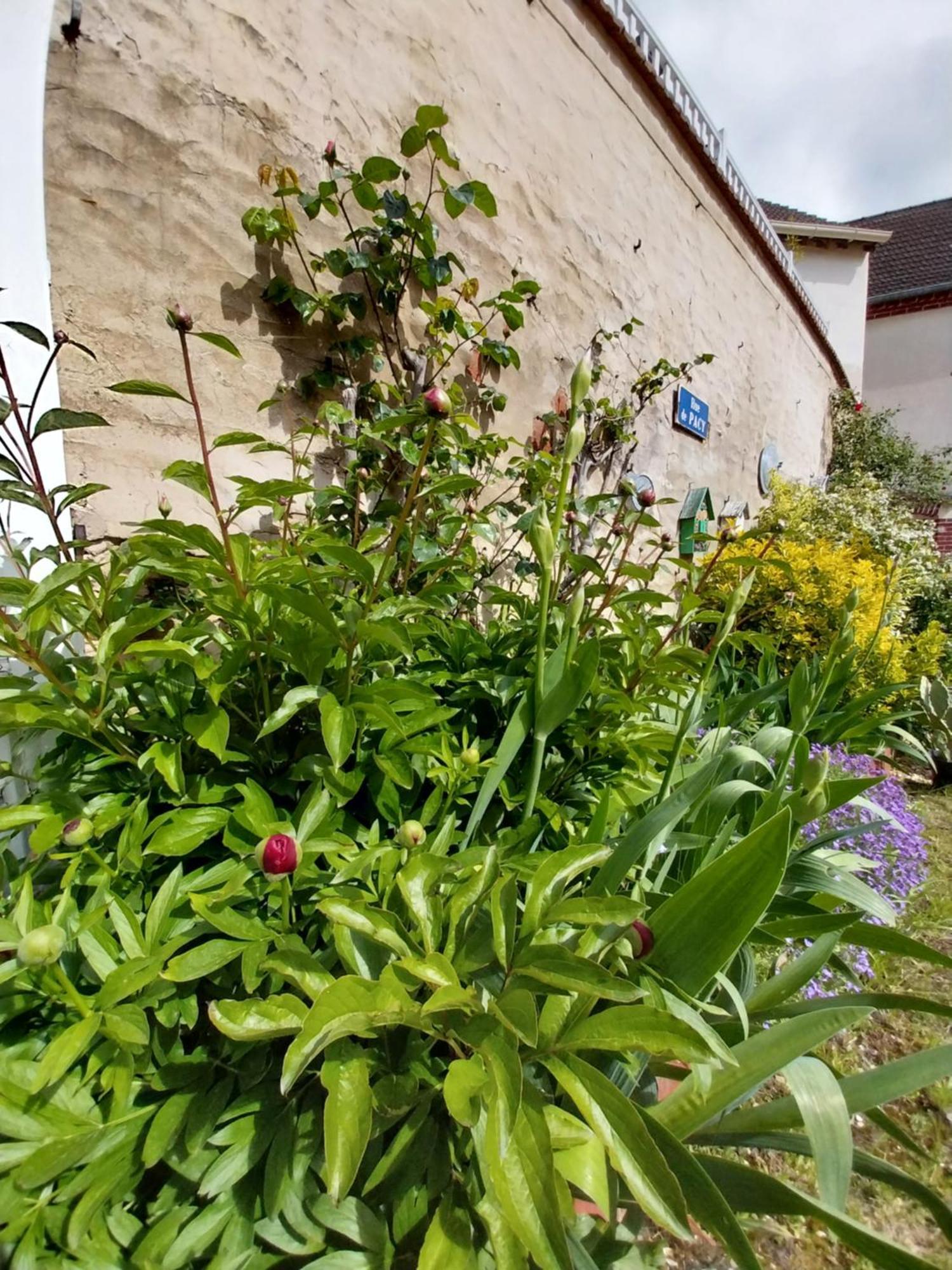La Petite Maison Gasny Exterior foto